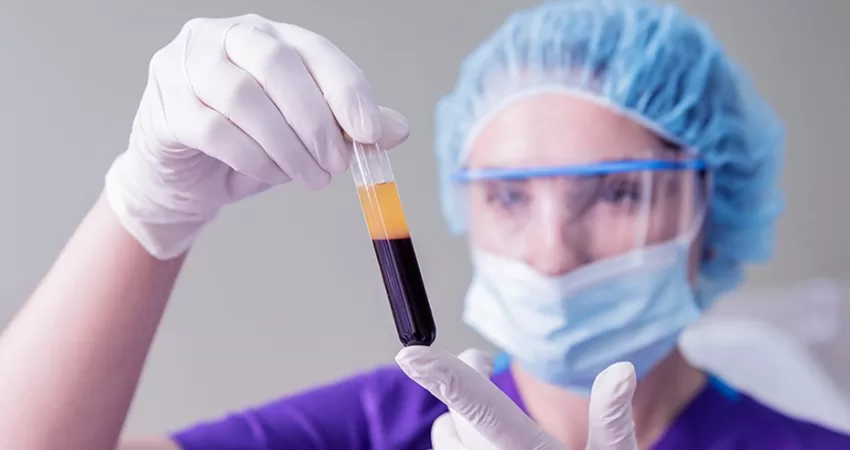 Sports Medicine physician working with adipose and stem cells