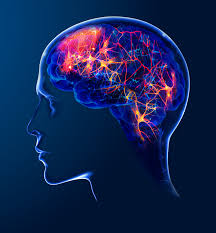 ExoMind Restores Mental Performance